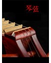 CALVIN SANG 中樂 花梨紅木清水 柳琴